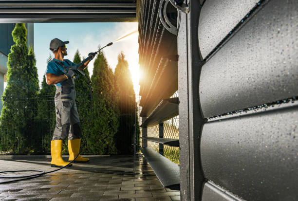 Best Roof Pressure Washing  in Georgetown, KY